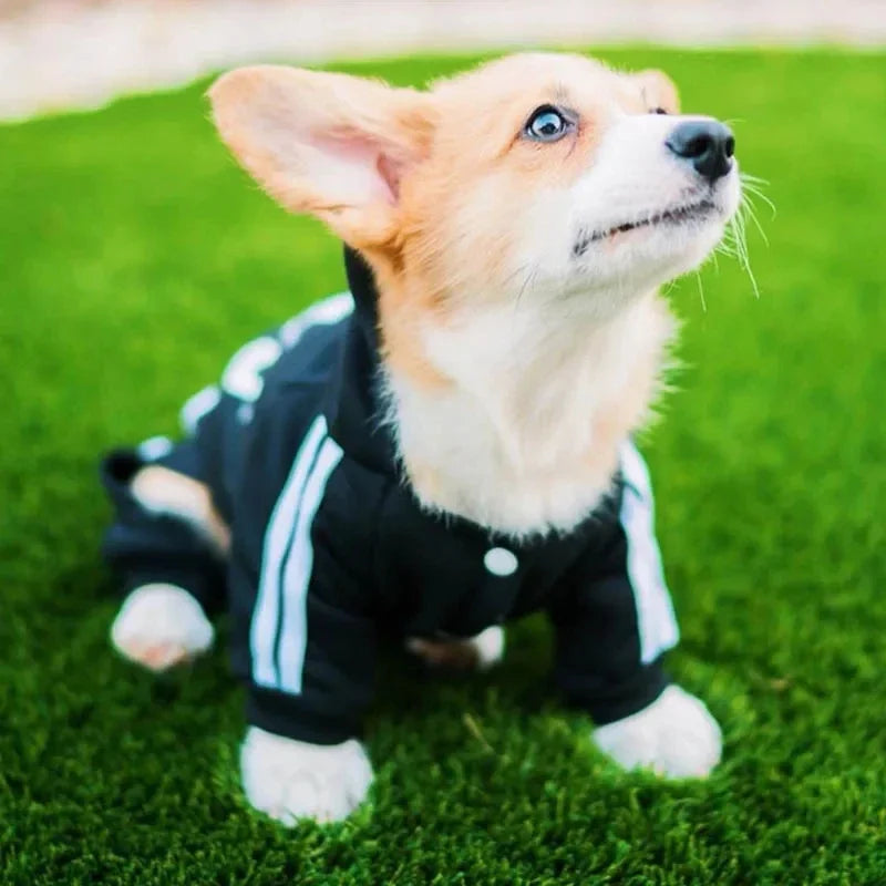 Puppy Dog Jumpsuit – Soft Pet Clothes for Small, Medium and large dogs