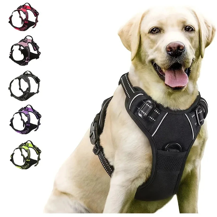 Dog Harness, Collar & Leash Set 🐾