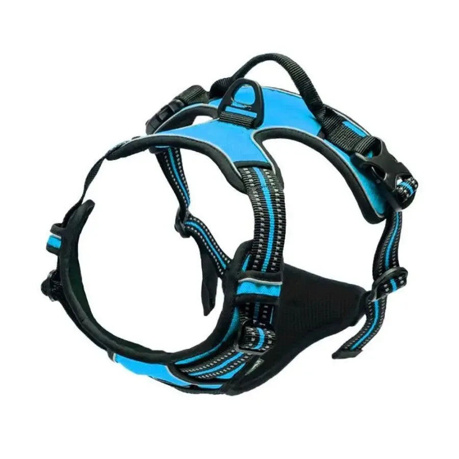Dog Harness, Collar & Leash Set 🐾