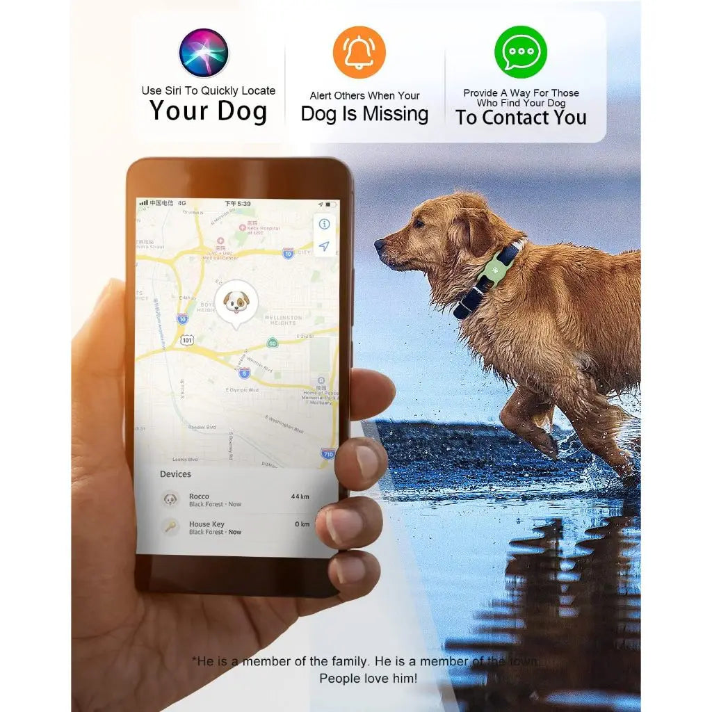 Airtag Dog Holder and Airtag Dog Collar