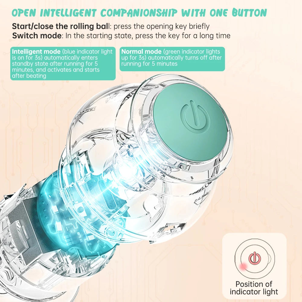 Rechargeable Smart Rolling Ball Toy for Cats & Dogs 🐾⚽