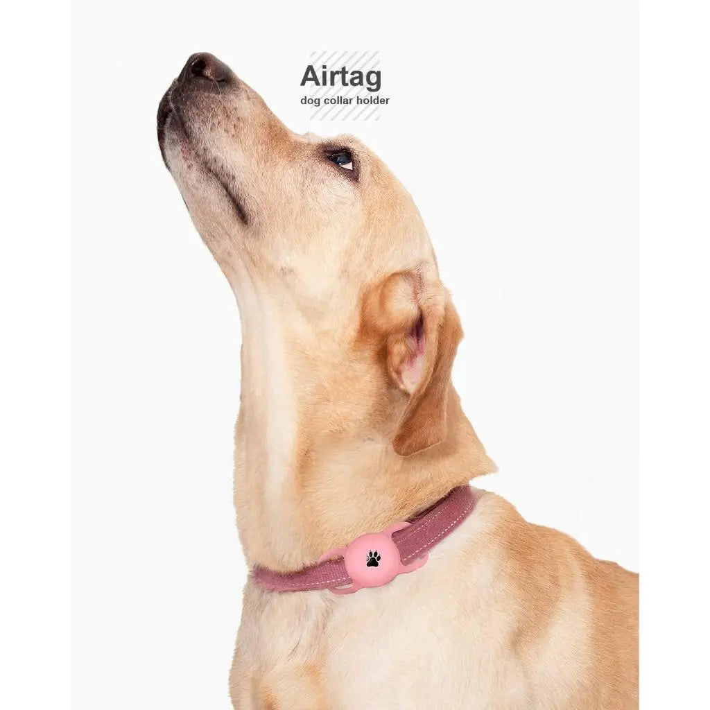 Airtag Dog Holder and Airtag Dog Collar