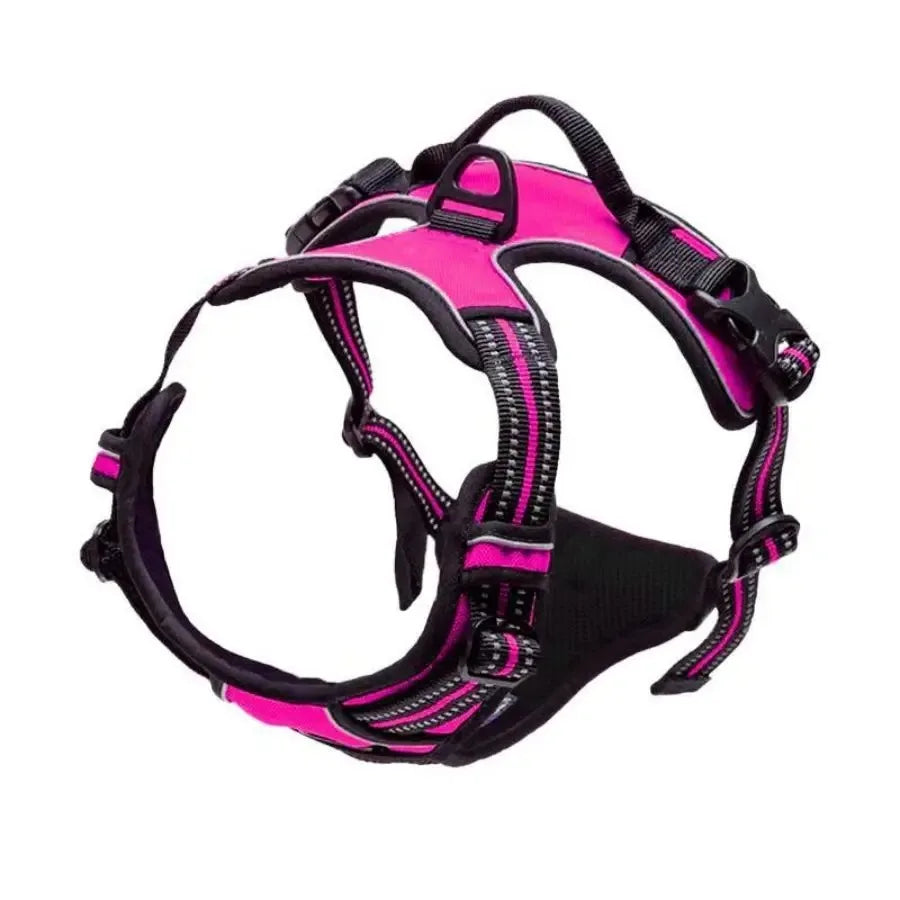 Dog Harness, Collar & Leash Set 🐾