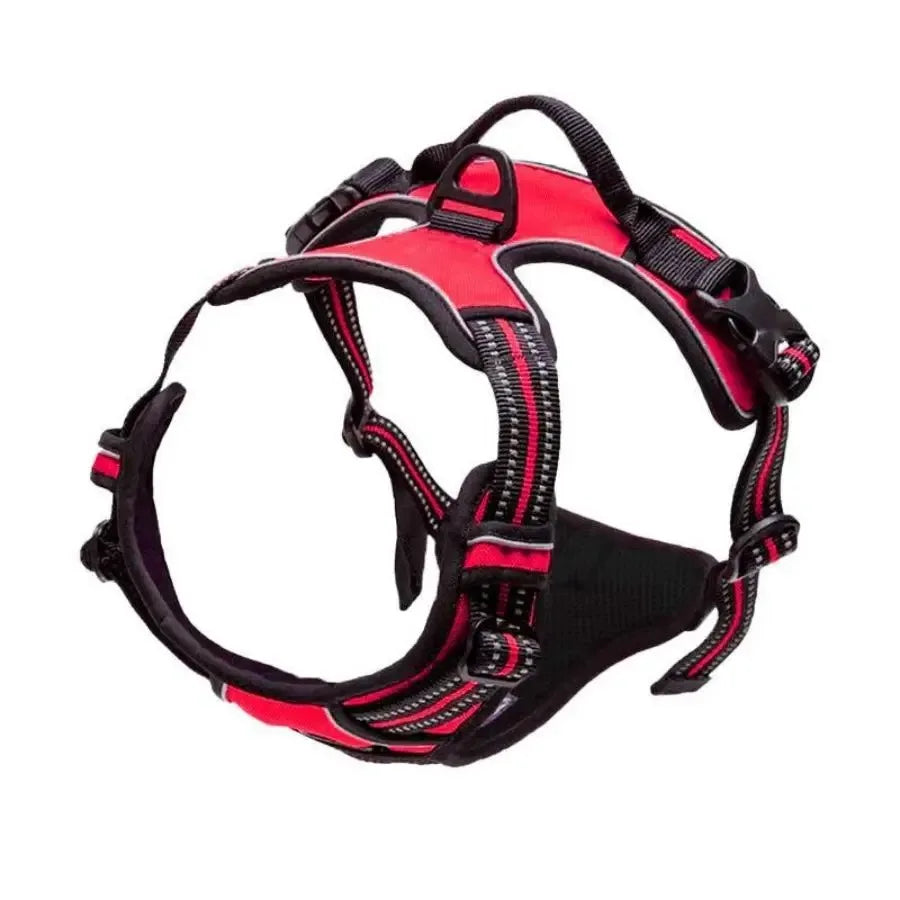 Dog Harness, Collar & Leash Set 🐾
