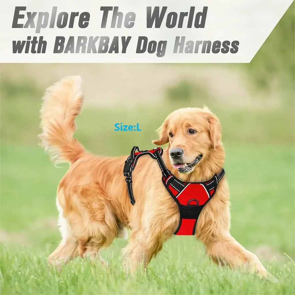 Dog Harness, Collar & Leash Set 🐾