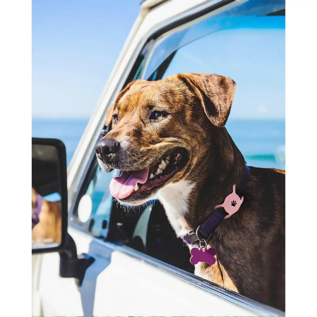 Airtag Dog Holder and Airtag Dog Collar