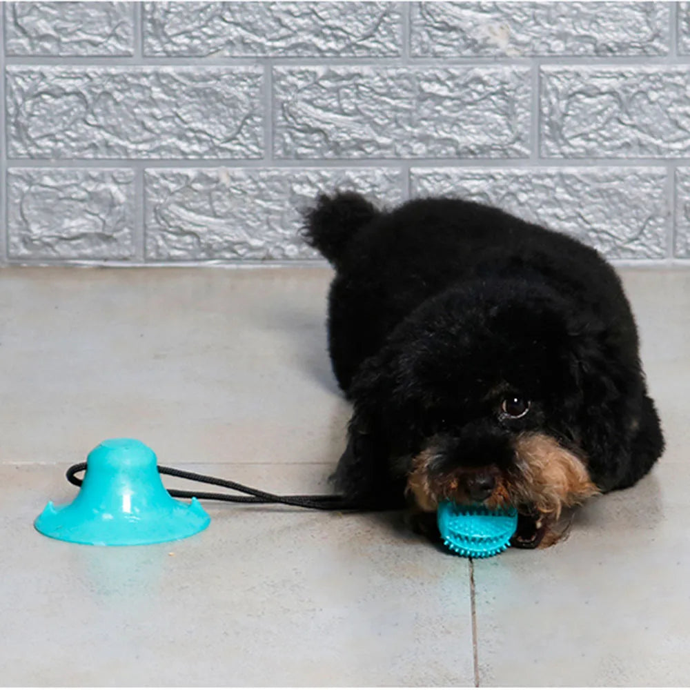 Interactive Dog Puzzle & Tug Toy – Treat Dispenser, Suction Cup & Teeth Cleaning Fun for Aggressive Chewers 🐾🦴