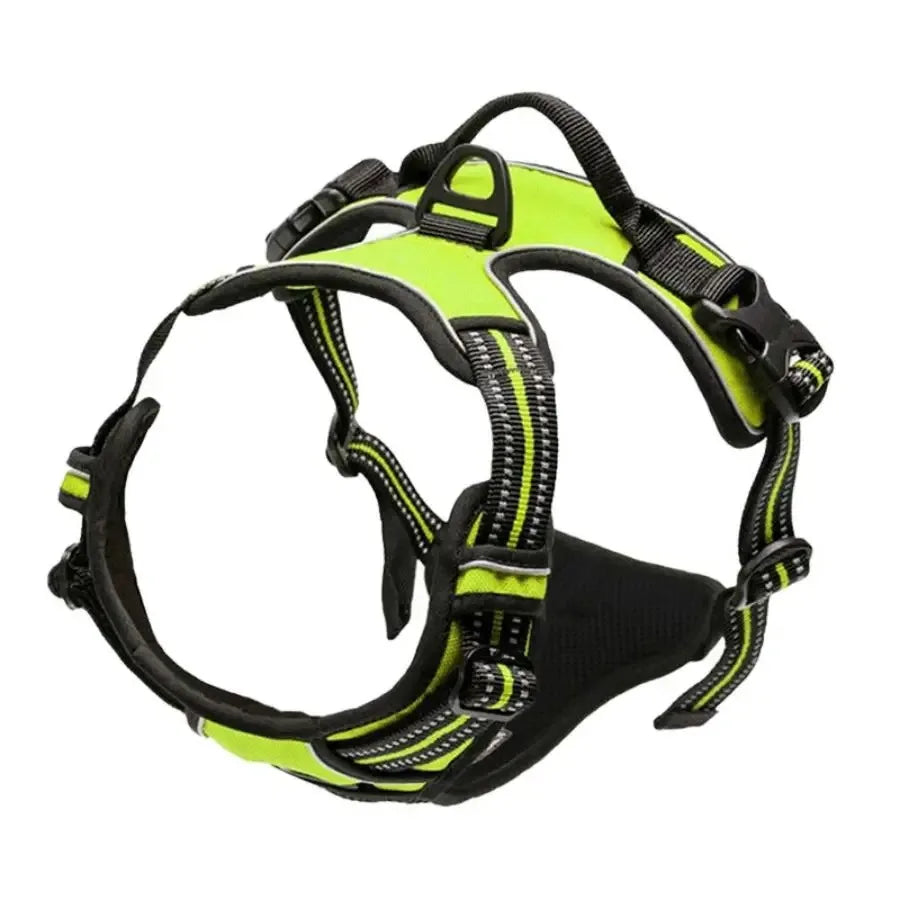 Dog Harness, Collar & Leash Set 🐾