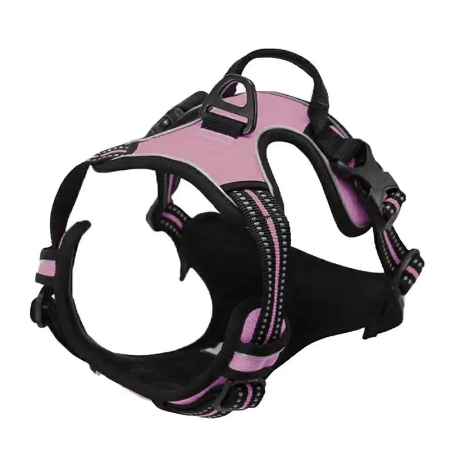 Dog Harness, Collar & Leash Set 🐾