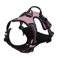 Dog Harness, Collar & Leash Set 🐾