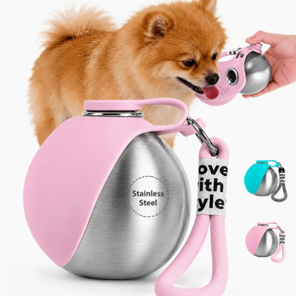 Pet Dog and Cat Stainless Steel kettle Water Cup 
