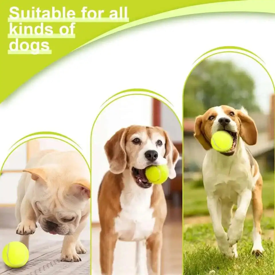 Automatic Dog Tennis Ball Launcher 🐾🎾