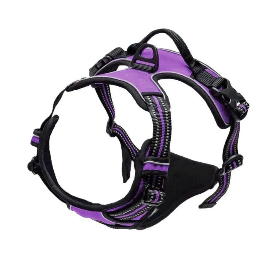 Dog Harness, Collar & Leash Set 🐾