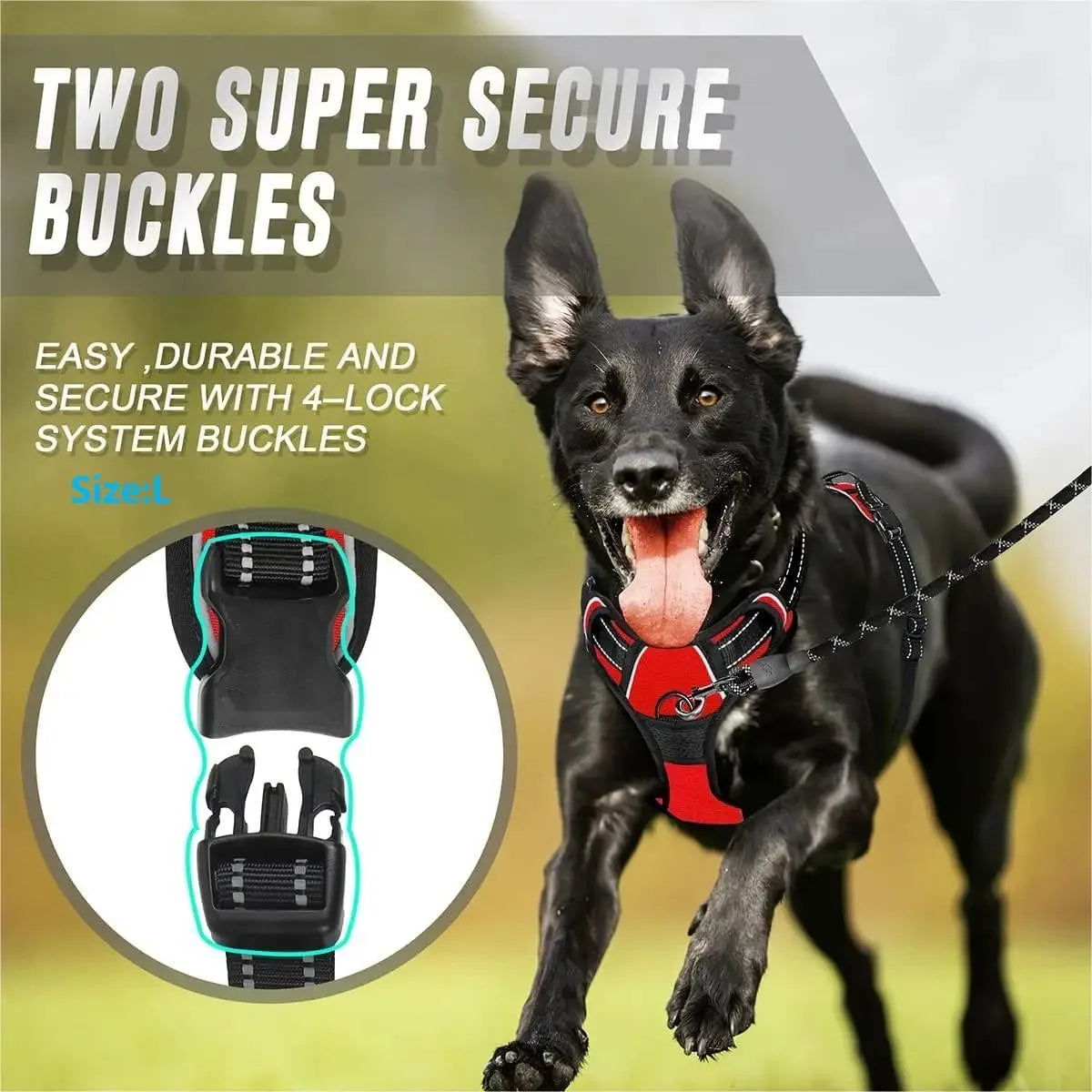 Dog Harness, Collar & Leash Set 🐾