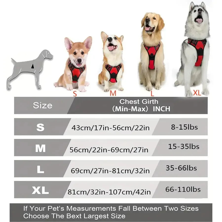 Dog Harness, Collar & Leash Set 🐾
