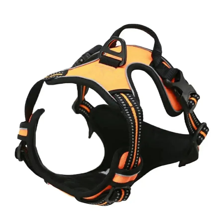 Dog Harness, Collar & Leash Set 🐾