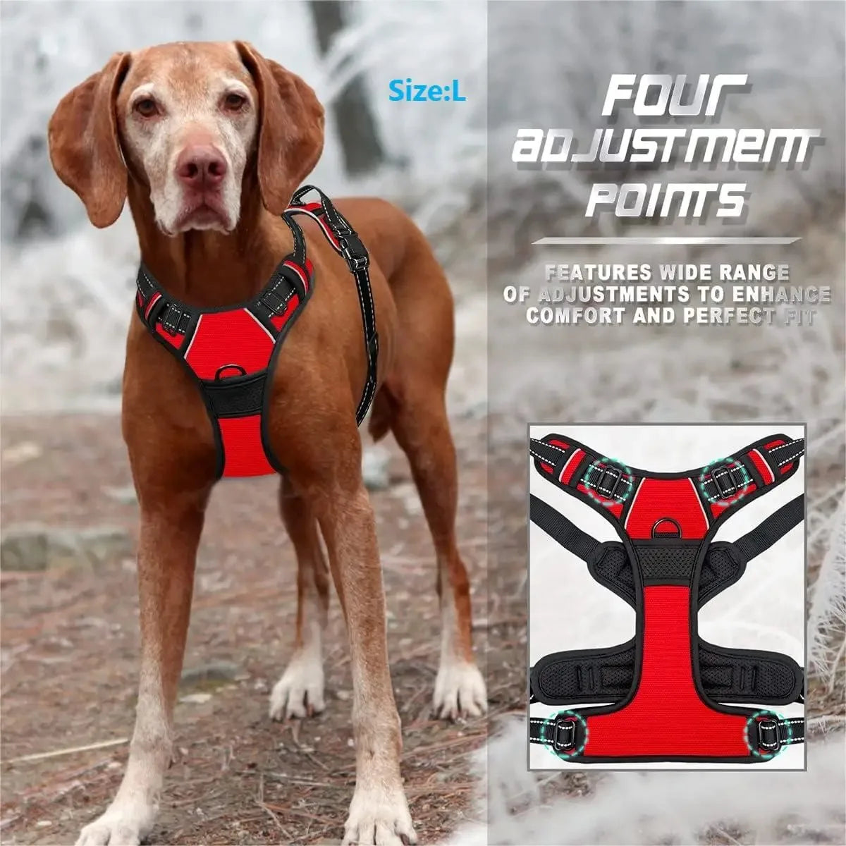 Dog Harness, Collar & Leash Set 🐾