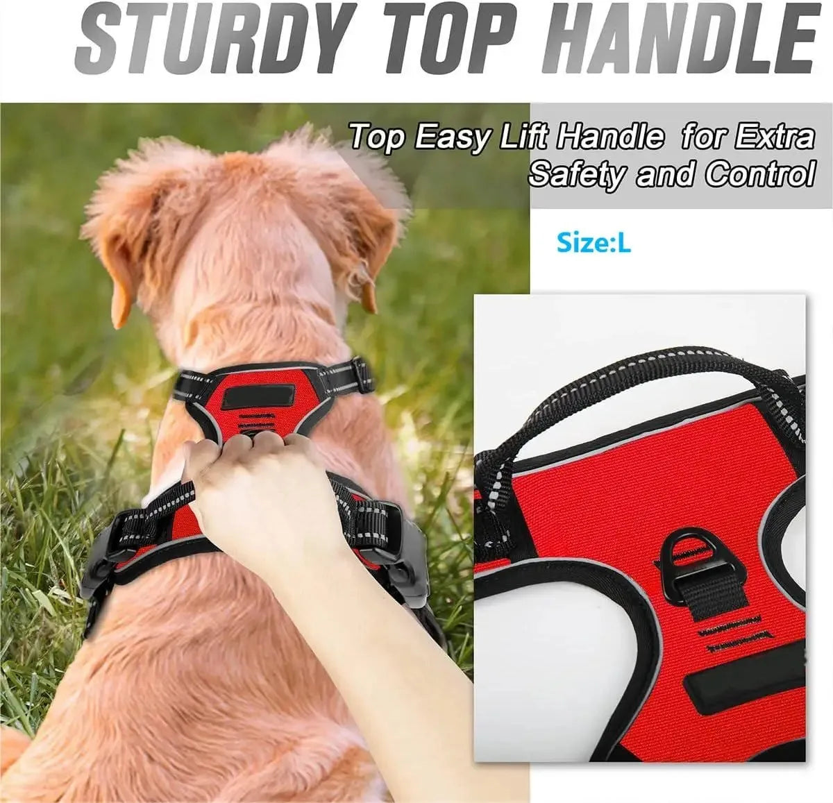 Dog Harness, Collar & Leash Set 🐾