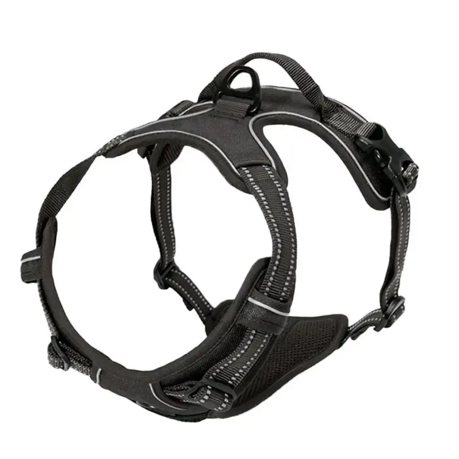 Dog Harness, Collar & Leash Set 🐾